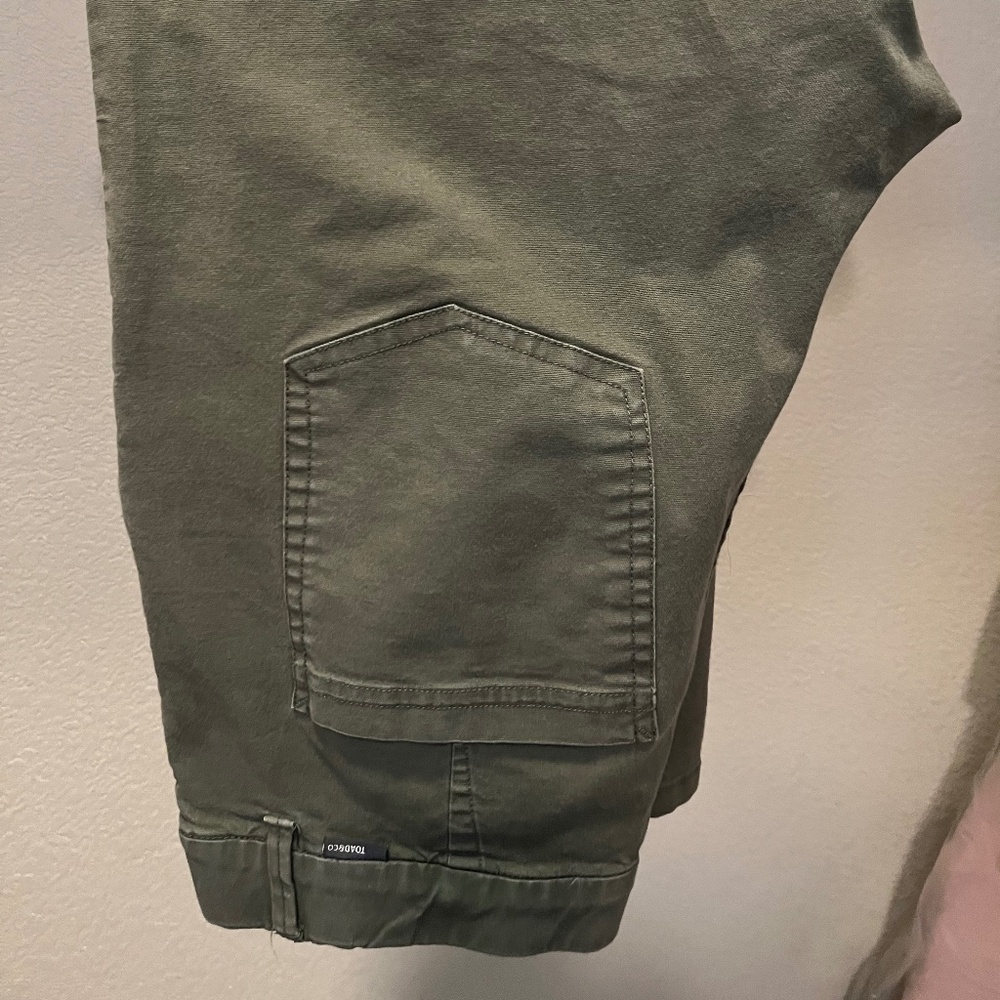Toad & Co Earthworks High Rise Pants